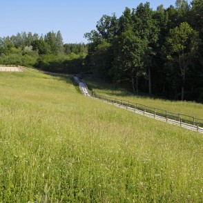 Dullā Daukas pastaigu taka Dullā Daukas pastaigu taka