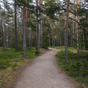 Ēvažu dabas taka Ēvažu dabas taka