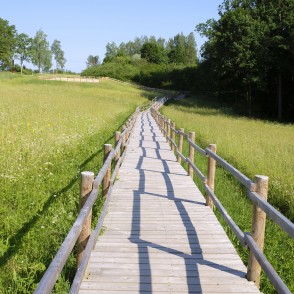 Dullā Daukas pastaigu taka Dullā Daukas pastaigu taka