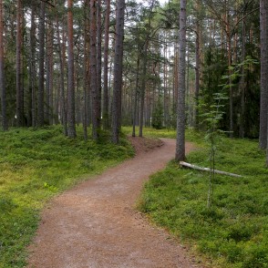 Ēvažu dabas taka Ēvažu dabas taka