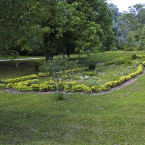 Ārstniecības augu pēda (Mīlestības taka) Ārstniecības augu pēda (Mīlestības taka)