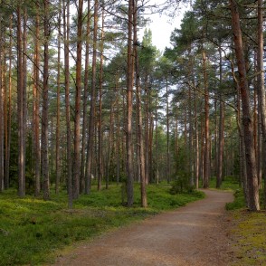 Ēvažu dabas taka Ēvažu dabas taka