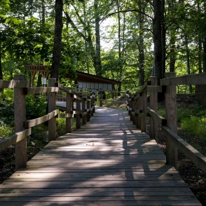 Dullā Daukas pastaigu taka Dullā Daukas pastaigu taka