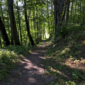 Dullā Daukas pastaigu taka Dullā Daukas pastaigu taka