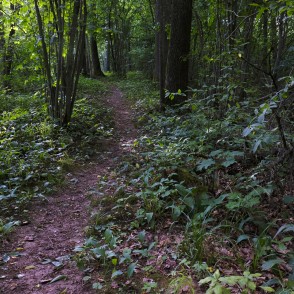 Staburaga taka Staburaga taka