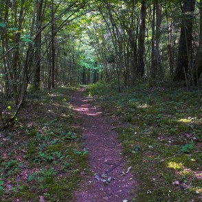 Staburaga taka Staburaga taka