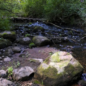 Staburaga taka, Dienvidsusēja Staburaga taka, Dienvidsusēja