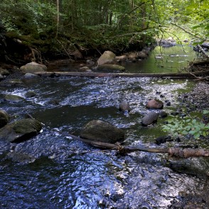 Gārsenes dabas takas, Dienvidsusēja Gārsenes dabas takas, Dienvidsusēja