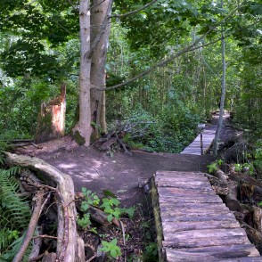 Pastaigu taka "Zvaniņu ceļš" Pastaigu taka "Zvaniņu ceļš"