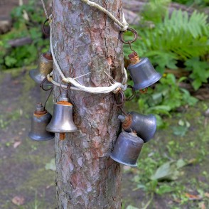 Dabas taka "Zvaniņu ceļš" Dabas taka "Zvaniņu ceļš"