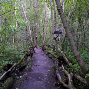 Dabas taka "Zvaniņu ceļš" Dabas taka "Zvaniņu ceļš"