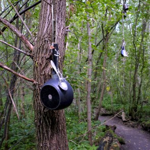 Dabas taka "Zvaniņu ceļš" Dabas taka "Zvaniņu ceļš"