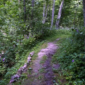 Akmeņupes dabas taka Akmeņupes dabas taka