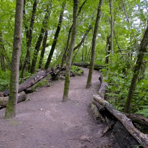 Pastaigu taka "Zvaniņu ceļš" Pastaigu taka "Zvaniņu ceļš"
