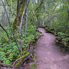Dabas taka "Zvaniņu ceļš" Dabas taka "Zvaniņu ceļš"