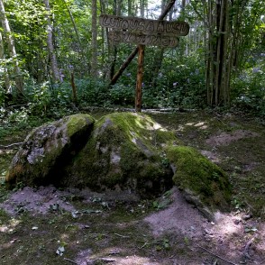 "Lutauša ausu sildītāji" (Akmeņupes dabas taka) "Lutauša ausu sildītāji" (Akmeņupes dabas taka)