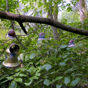 Dabas taka "Zvaniņu ceļš" Dabas taka "Zvaniņu ceļš"