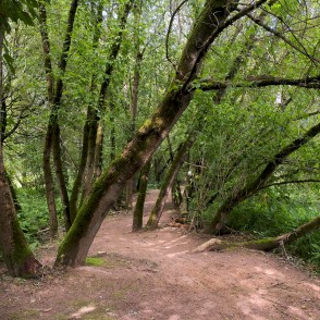 Pastaigu taka "Zvaniņu ceļš" Pastaigu taka "Zvaniņu ceļš"