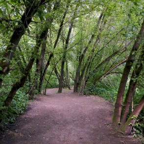 Dabas taka "Zvaniņu ceļš" Dabas taka "Zvaniņu ceļš"