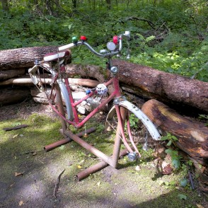 Dabas taka "Zvaniņu ceļš" Dabas taka "Zvaniņu ceļš"