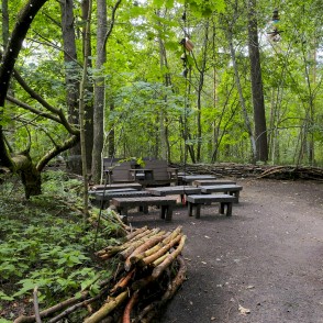 Dabas taka "Zvaniņu ceļš" Dabas taka "Zvaniņu ceļš"