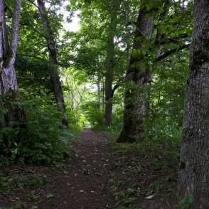 Mācītājmuižas Ozolāju dabas taka Mācītājmuižas Ozolāju dabas taka