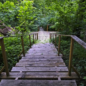 Mācītājmuižas Ozolāju dabas taka Mācītājmuižas Ozolāju dabas taka