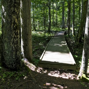 Jānīša dabas taka Jānīša dabas taka