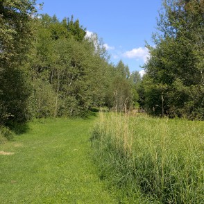 Dabas taka "Aiviekstes ozoli" Dabas taka "Aiviekstes ozoli"