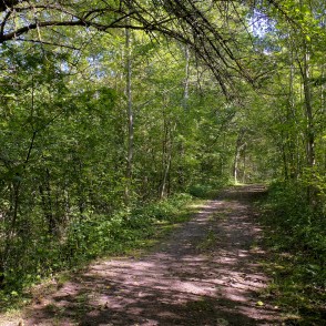 Dabas taka "Aiviekstes ozoli" Dabas taka "Aiviekstes ozoli"