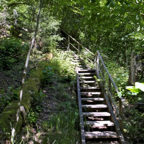 Jānīša dabas taka Jānīša dabas taka