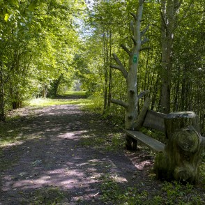 Dabas taka "Aiviekstes ozoli" Dabas taka "Aiviekstes ozoli"