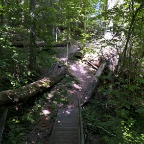 Jānīša dabas taka Jānīša dabas taka