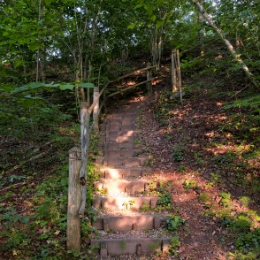 Žibgravas veselības taka Žibgravas veselības taka