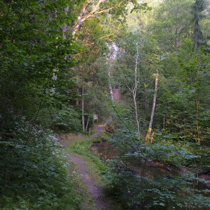 Žibgravas veselības taka Žibgravas veselības taka