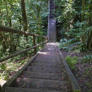 Jānīša dabas taka Jānīša dabas taka