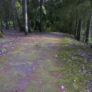 Žibgravas veselības taka Žibgravas veselības taka