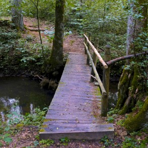 Žibgravas veselības taka Žibgravas veselības taka