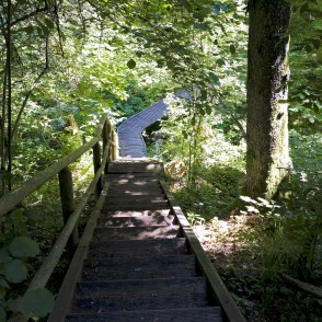 Jānīša dabas taka Jānīša dabas taka