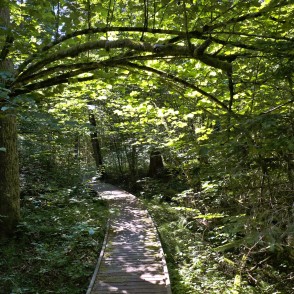 Jānīša dabas taka Jānīša dabas taka