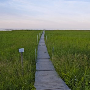 Koka laipa Bērzciemā Koka laipa Bērzciemā
