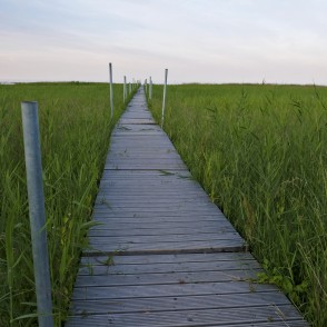 Koka laipa Bērzciemā Koka laipa Bērzciemā