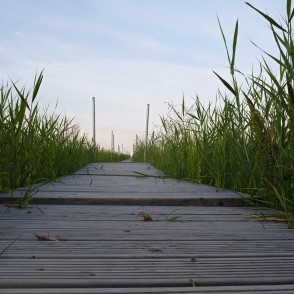 Koka laipa Bērzciemā Koka laipa Bērzciemā