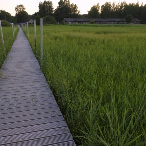 Koka laipa Bērzciemā Koka laipa Bērzciemā