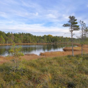 Bezdibeņa ezers un Kalnansu purva taka klusā dabas ainavā Bezdibeņa ezers un Kalnansu purva taka klusā dabas ainavā