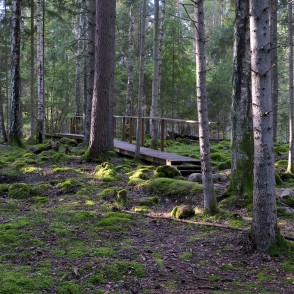 Dabas taka Kaltenes kalvas Dabas taka Kaltenes kalvas