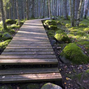 Dabas taka Kaltenes kalvas Dabas taka Kaltenes kalvas