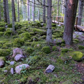 Dabas piemineklis "Kaltenes kalvas" Dabas piemineklis "Kaltenes kalvas"