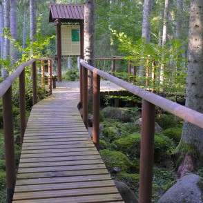 Dabas taka Kaltenes kalvas Dabas taka Kaltenes kalvas