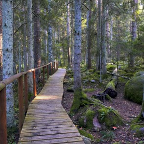 Dabas taka Kaltenes kalvas Dabas taka Kaltenes kalvas